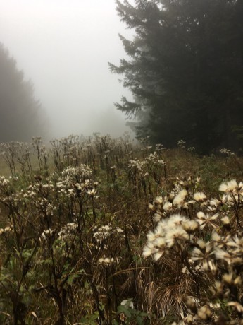 02. Sobotní atmosféra II