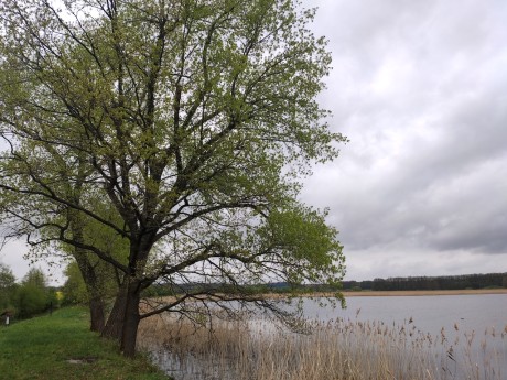 06 Rybník Šmatlán