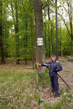 13 Rozcestí – Hájovna Kindlovka