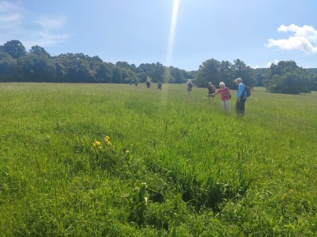 02 NPR Čertoryje – NS orchidejová