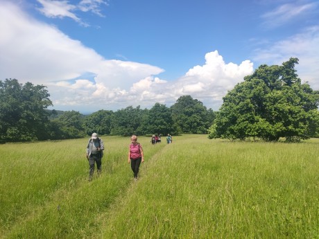 04 NPR Čertoryje – NS orchidejová