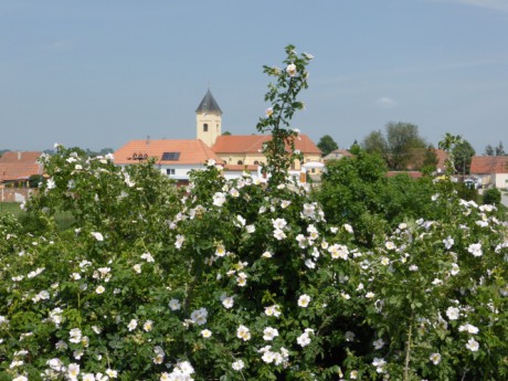 Strachotín - kostel sv. Oldřicha a Metoděje