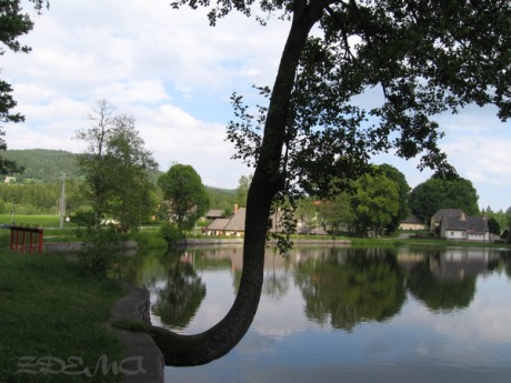 ŽĎÁRSKÉ VRCHY 2009 - Milovský rybník