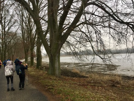 Rybník Velký Karlov