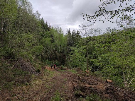 Sellnerova stezka II