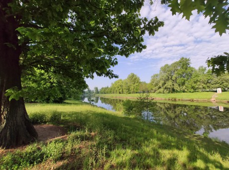 Labe u fakultní nemocnice
