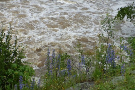Hadince u rozbouřené řeky