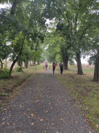 066 Liblín - alejí ze zámecké zahrady