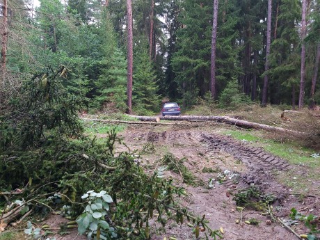 03 „Cesta zarúbaná“ na začátku trasy