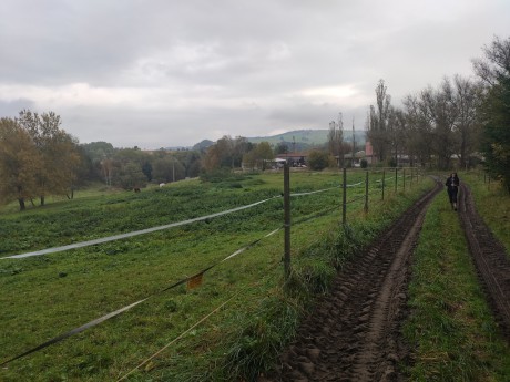 02 Mackovou cestou po žluté I