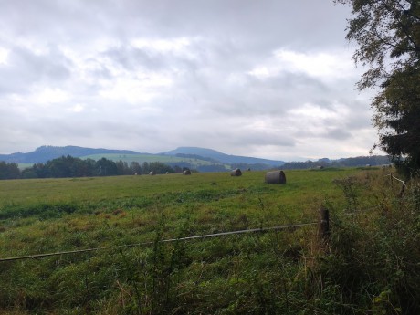 03 Mackovou cestou po žluté II