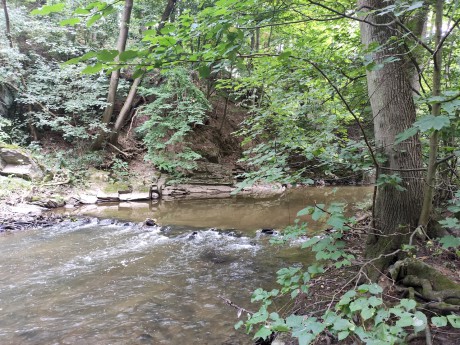 03 Doubrava cestou do Ronova n. Doubravou I