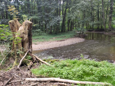 04 Doubrava cestou do Ronova n. Doubravou II