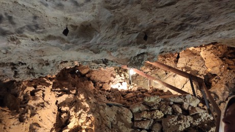13 Jeskyně Na Turoldu s přezimujícími netopýry vrápenci malými