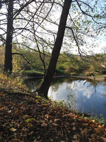 15A Meandry v okolí Petroviček II