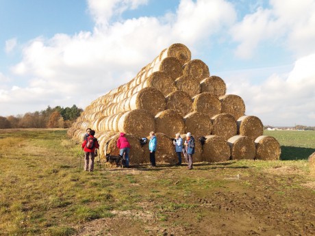 18 Občerstvení u pyramidy II