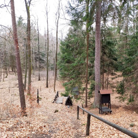 02 Studánka Bučina