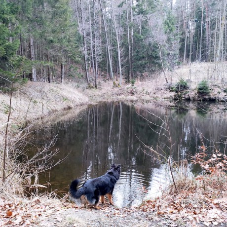 04 Bezejmenný malý rybník u studánky