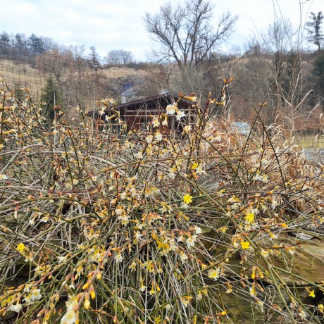 02 Přírodní rezervace Stráně u splavu I