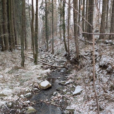 01 Z Nasavrk po Keltské NS – Debrný potok