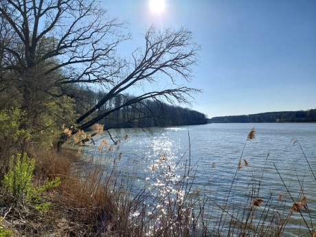 01 Jakubský rybník I