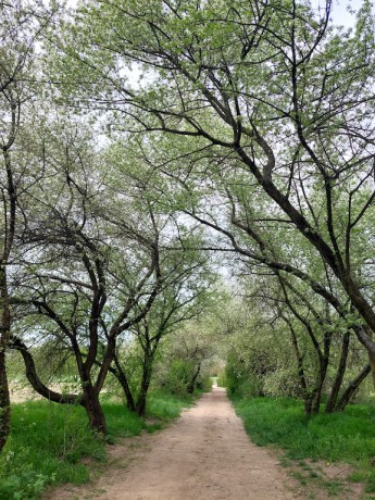 16 Nádherná cesta do Lysé n. Lab.