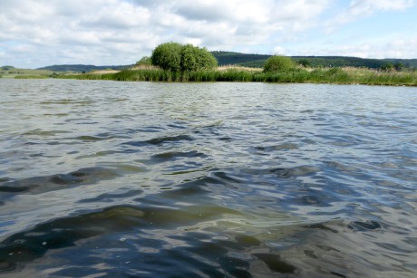 39 Tálinský rybník