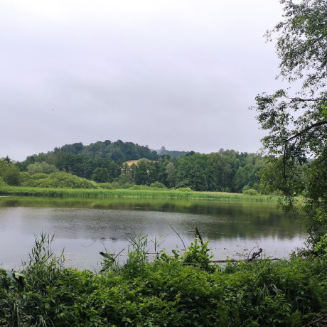 04 Rybník Hrudka II