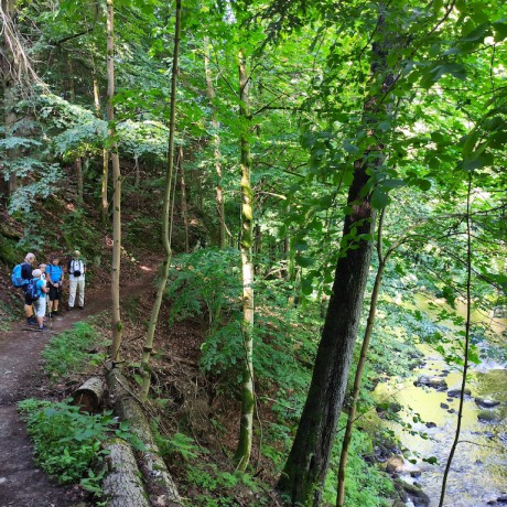 02 Palackého stezka I