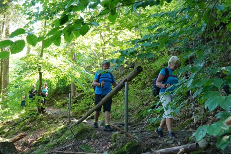 03 Palackého stezka II