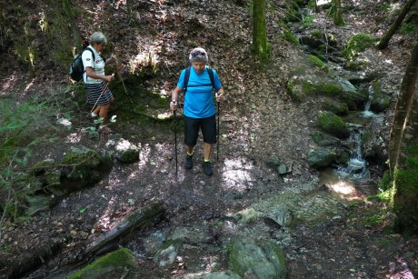 04 Palackého stezka III