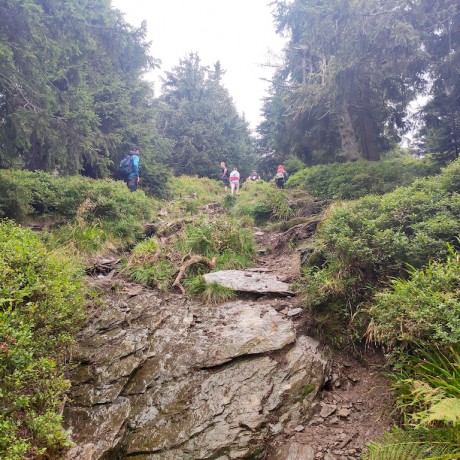 04 Na Švýcárnu III