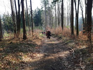 Kdesi v lese u Trutnova